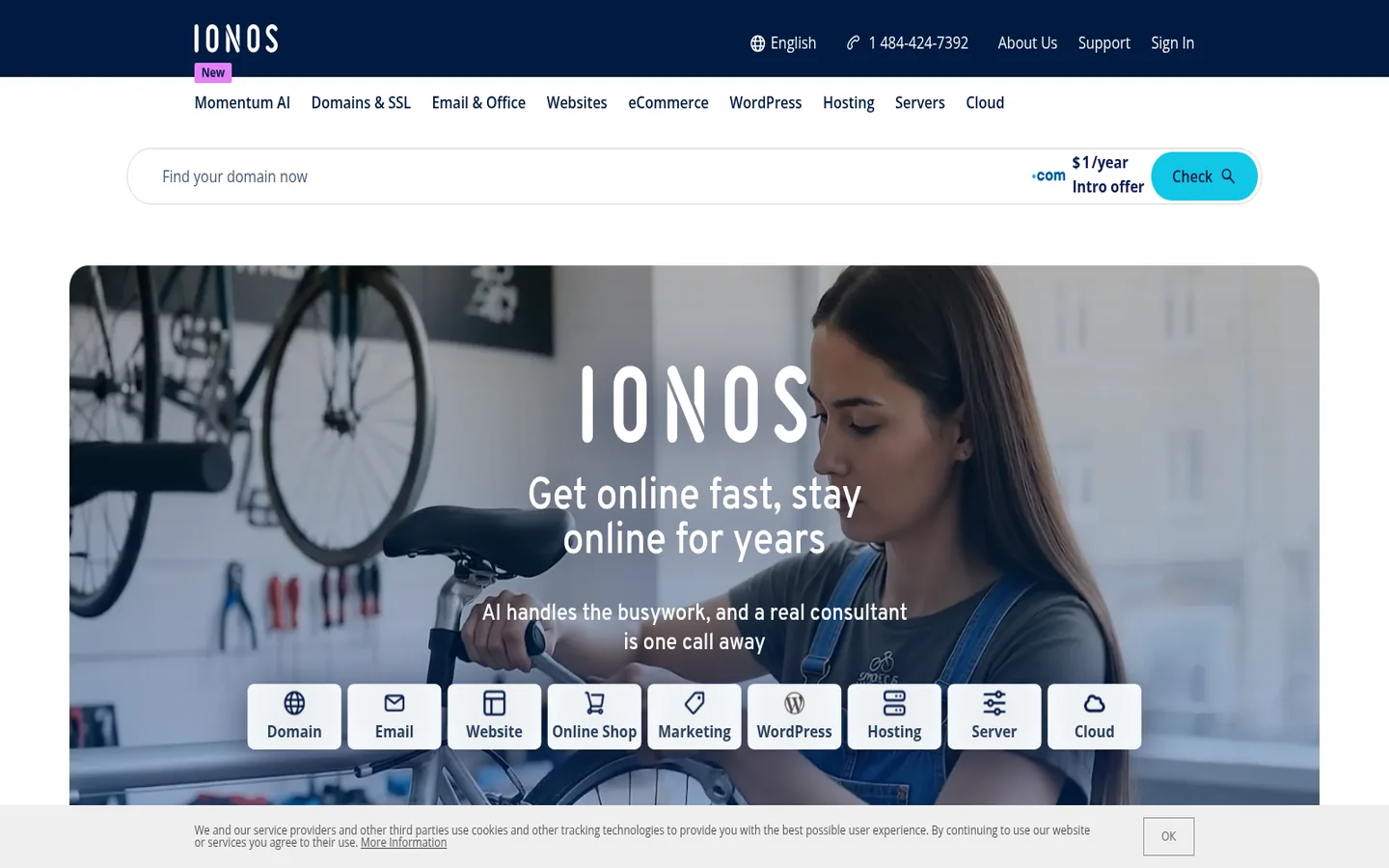 IONOS home page — “Delivering the future of web hosting”, with the hosting product entry points